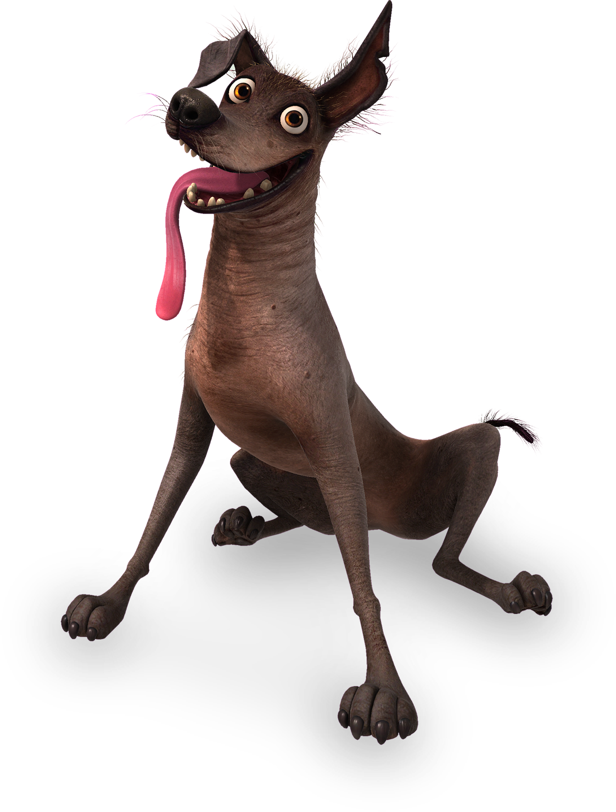 Xoloitzcuintli Dante The Dog Coco Mexican Dog From Coco Online