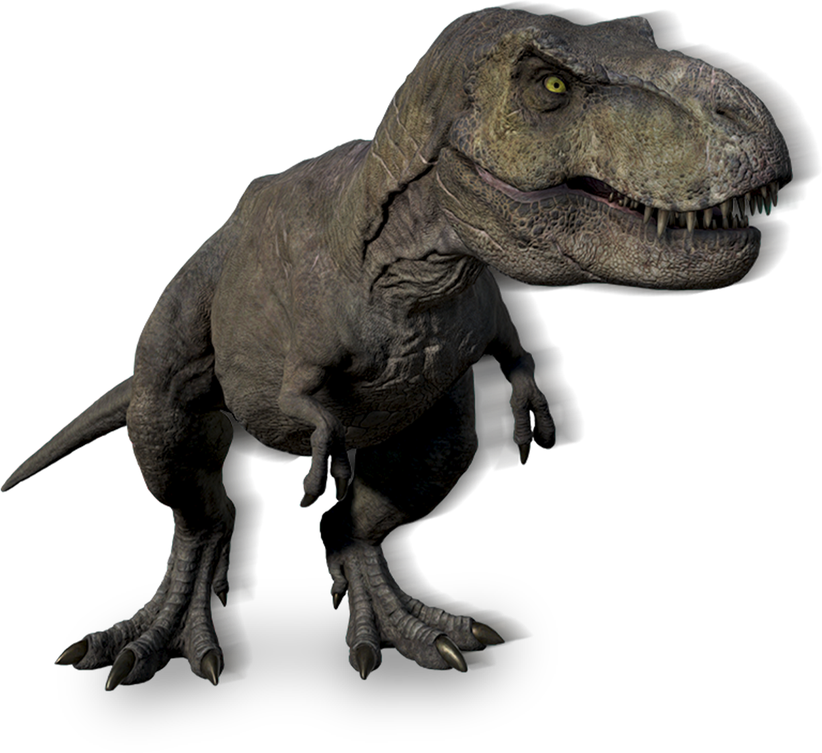 T. rex | VeVe