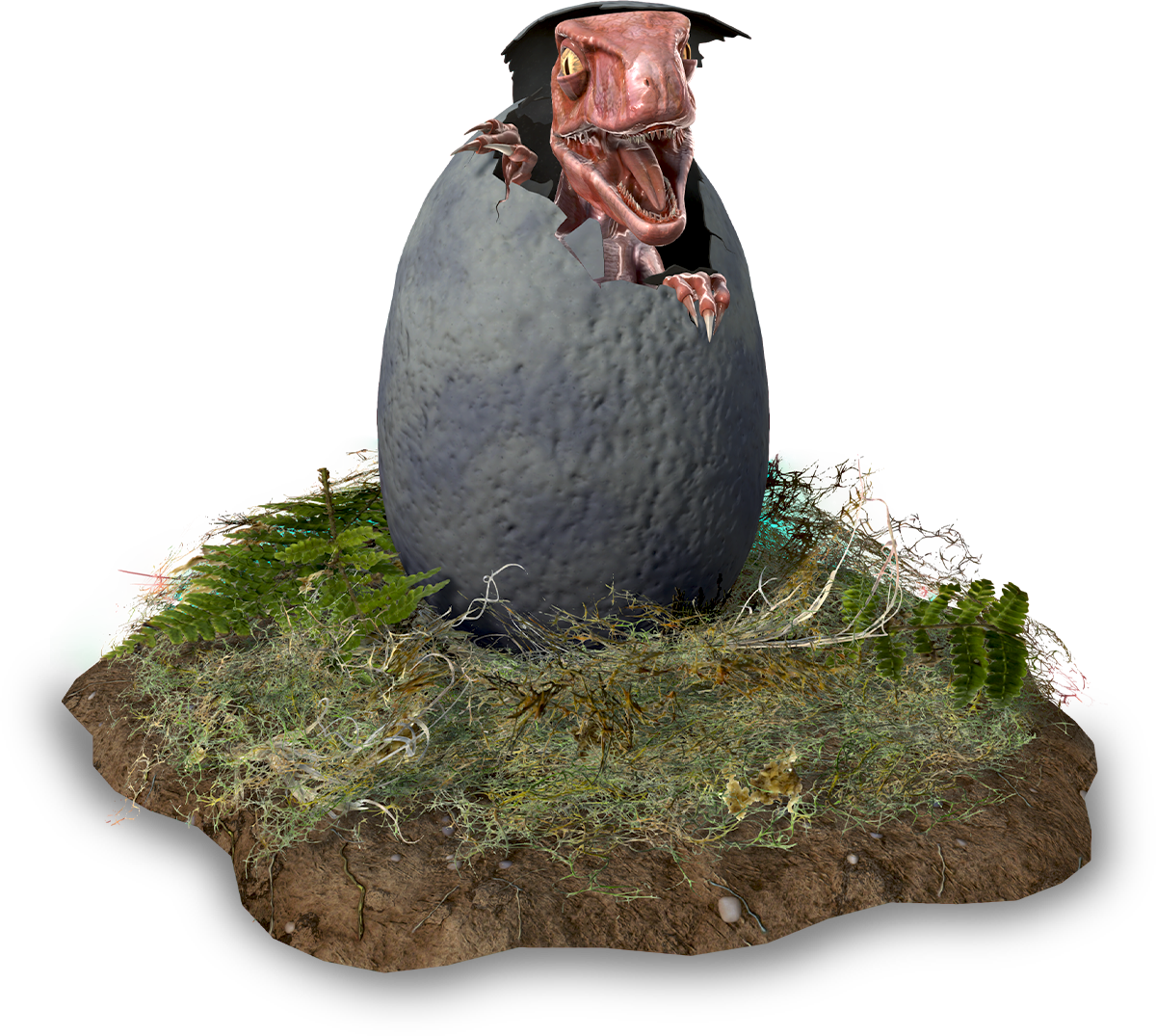 transparent_background_image.