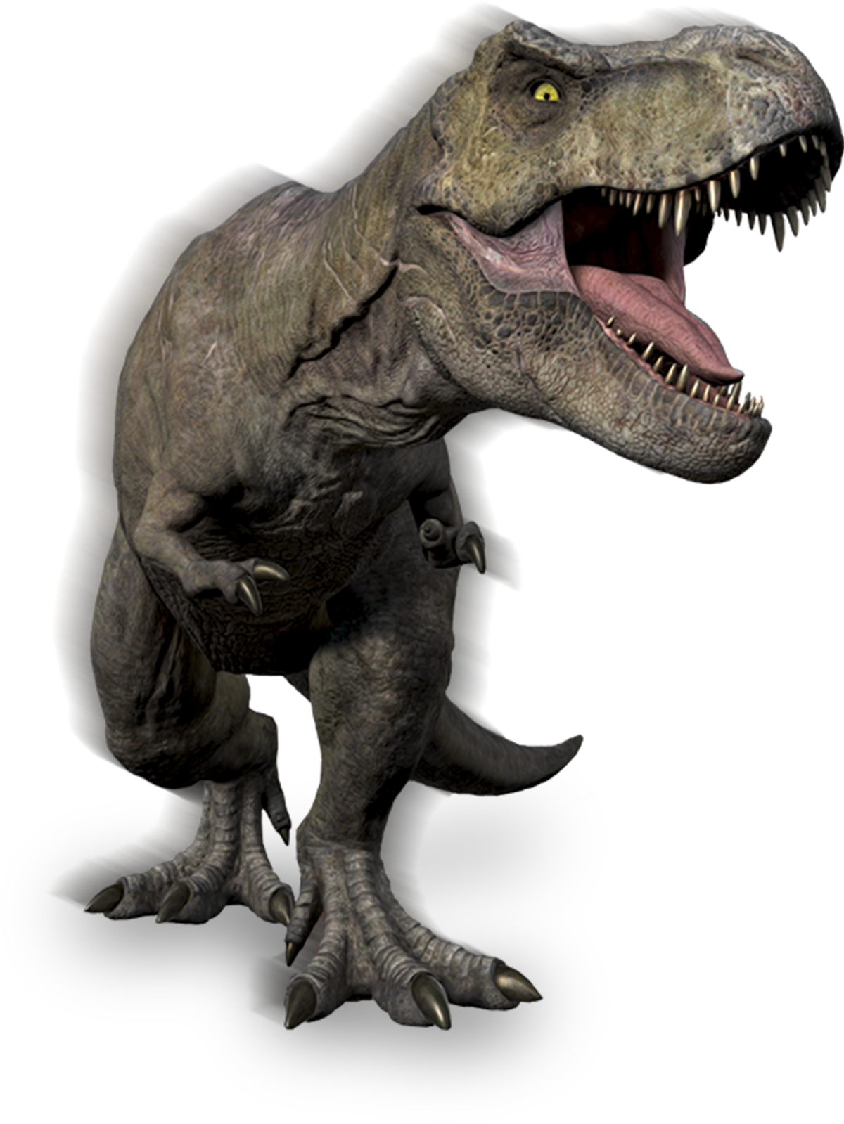transparent_background_image.